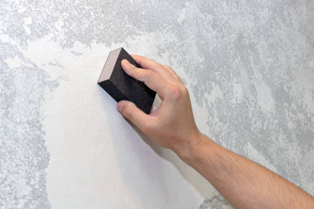 Best Crawl Space Mold Remediation  in Waldron, AR