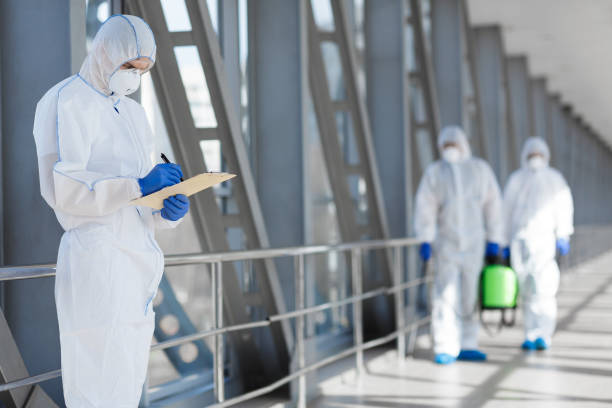 Best Emergency Mold Remediation  in Waldron, AR