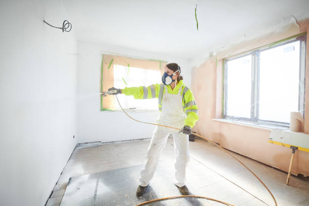 Mold Odor Removal Services in Waldron, AR