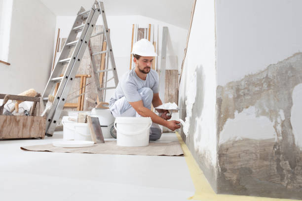 Best Real Estate Mold Inspection  in Waldron, AR