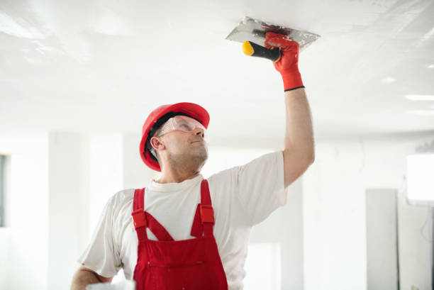 Mold Remediation for Vacation Homes in Waldron, AR