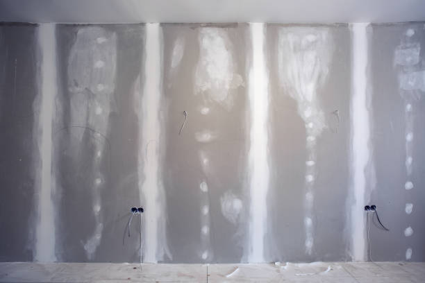 Best HVAC Mold Inspection and Cleaning  in Waldron, AR